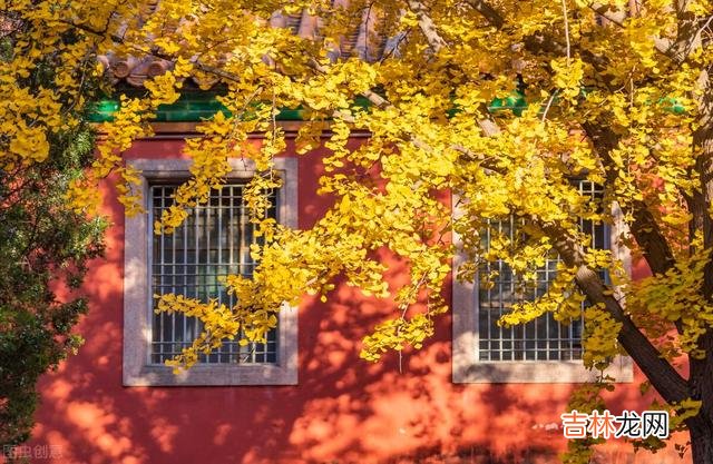 忙忙碌碌大半生 余生，最重要的投资，是用运动投资我们的身体健康