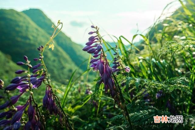 人过五十，不要再去纠结，该看淡就看淡