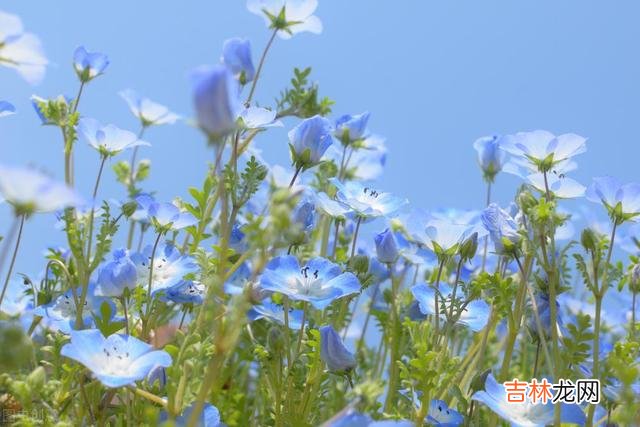 人过五十，不要再去纠结，该看淡就看淡