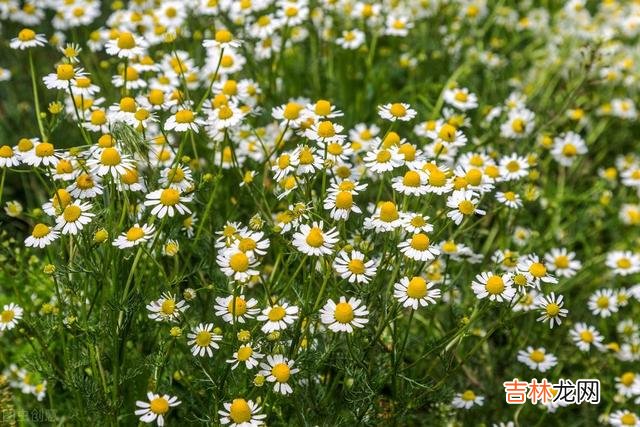 人过五十，不要再去纠结，该看淡就看淡