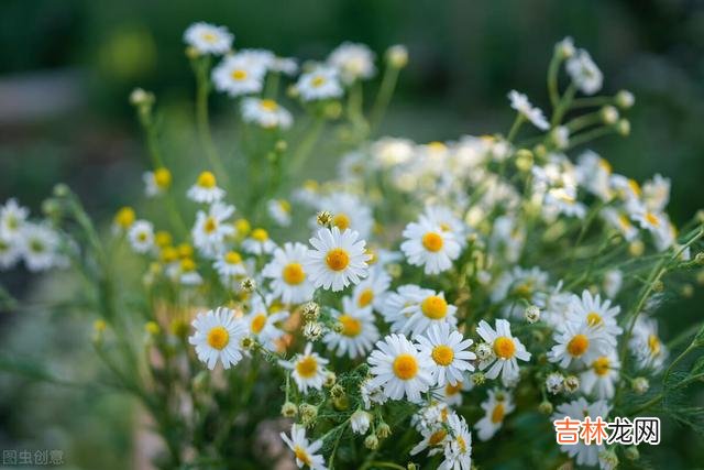 70后的人 70后的我们,说老太早,未来是什么样,只需我们自己去创造