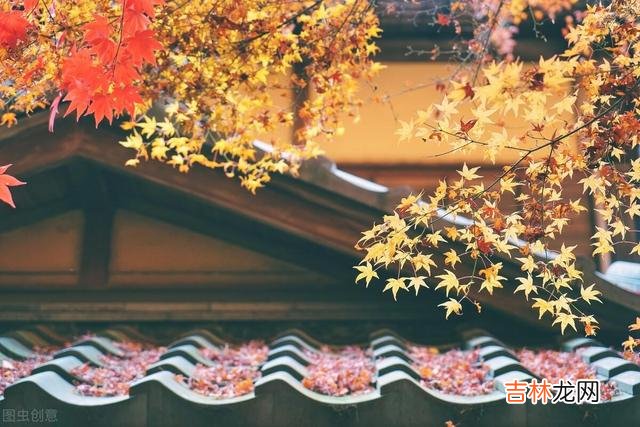 岁月悠悠 单身女人再找老伴的时候，一定不要被男人的表面的好给迷惑了
