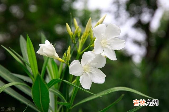 退休前真正有远见的人,往往都会活得通透清醒