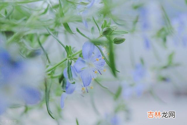 退休前真正有远见的人,往往都会活得通透清醒