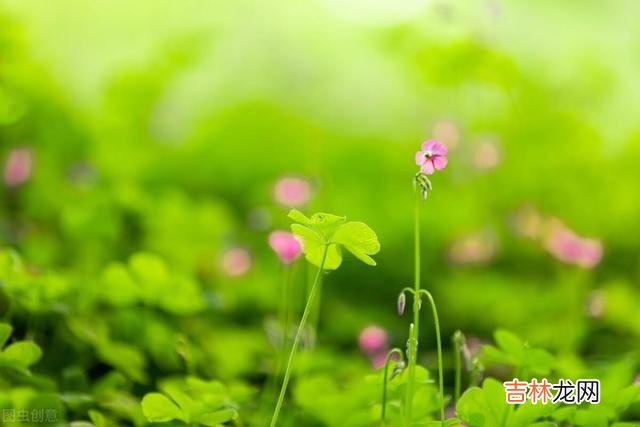 退休前真正有远见的人,往往都会活得通透清醒