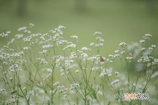 退休前真正有远见的人，往往都会活得通透清醒