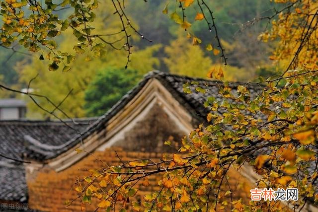 《小窗幽记》里说：“宠辱不惊 真正的聪明人，都学会了佛系生活