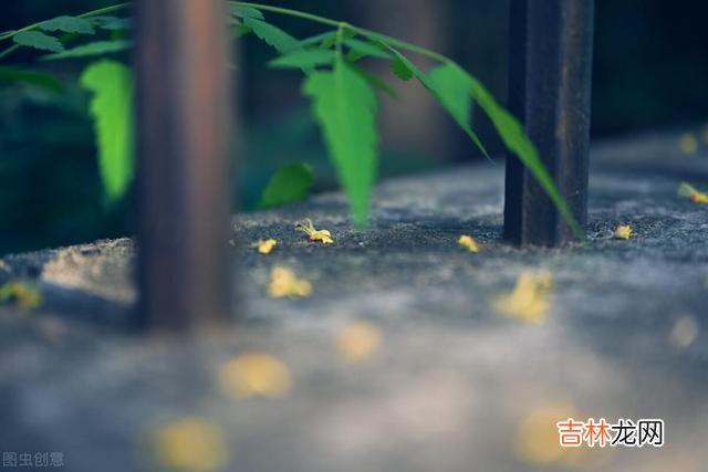 《小窗幽记》里说：“宠辱不惊 真正的聪明人，都学会了佛系生活