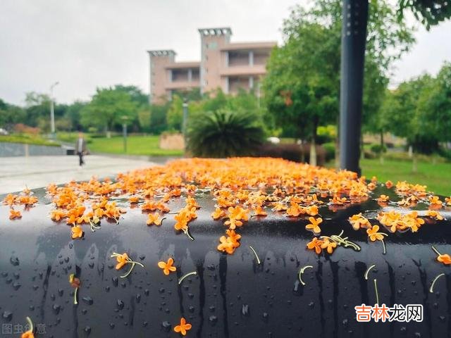 《小窗幽记》里说：“宠辱不惊 真正的聪明人，都学会了佛系生活