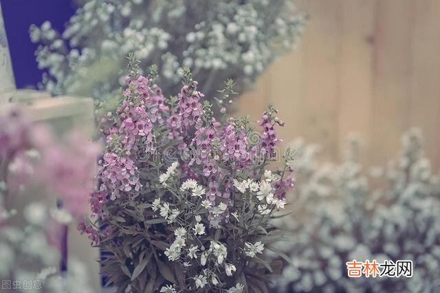 佛云:三千繁华 在变老的路上,顺其自然地接纳一切