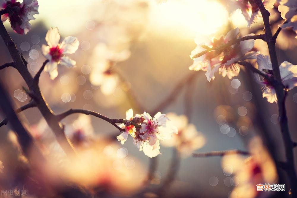 生活就像一条河 孤独终老,或许是我余生最好的归途