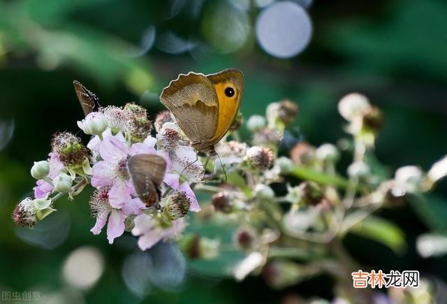 网上有人问：为啥二婚那么累？有人回答是 再婚十年，虽然我们是AA制过日子