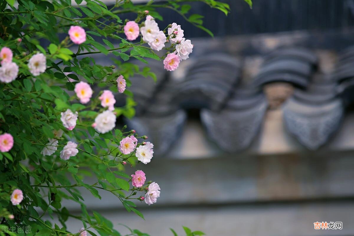 《小窗幽记》里的“人生三愿”:“一愿识尽天下好人 退休后读书,就是最安静的享乐自己的时光
