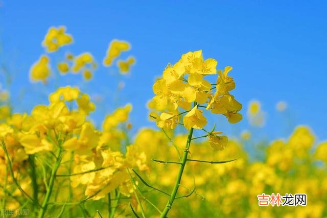 经济学家林采宜曾说过 退休后，不要从自己的视角去评价别人