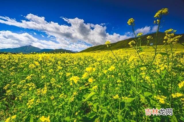 经济学家林采宜曾说过 退休后，不要从自己的视角去评价别人