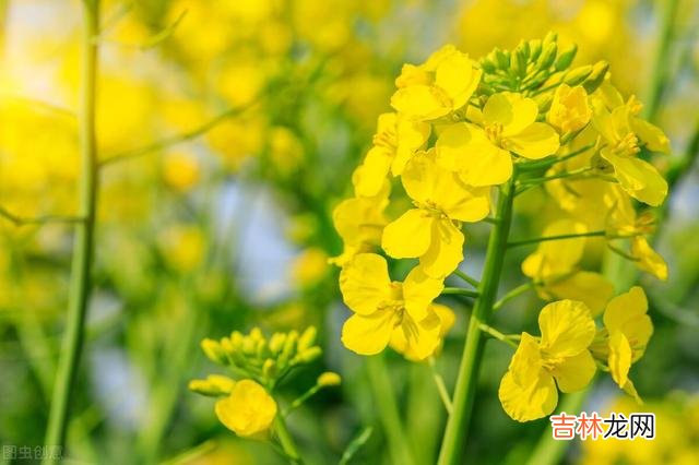 经济学家林采宜曾说过 退休后，不要从自己的视角去评价别人