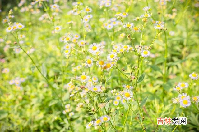 老话说： “命里有时终须有 人生这辈子能够挣到什么，都是命中注定的