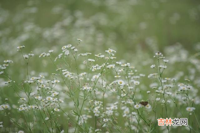 老话说： “命里有时终须有 人生这辈子能够挣到什么，都是命中注定的