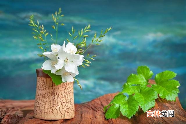 生活里 退休后的余生，最重要的是健康地活着，活出自己的风采