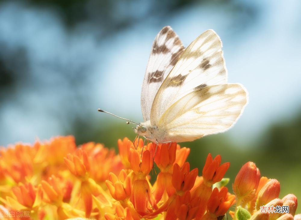 这个世界上 往后余生需要调整心态，活自己才是最重要的