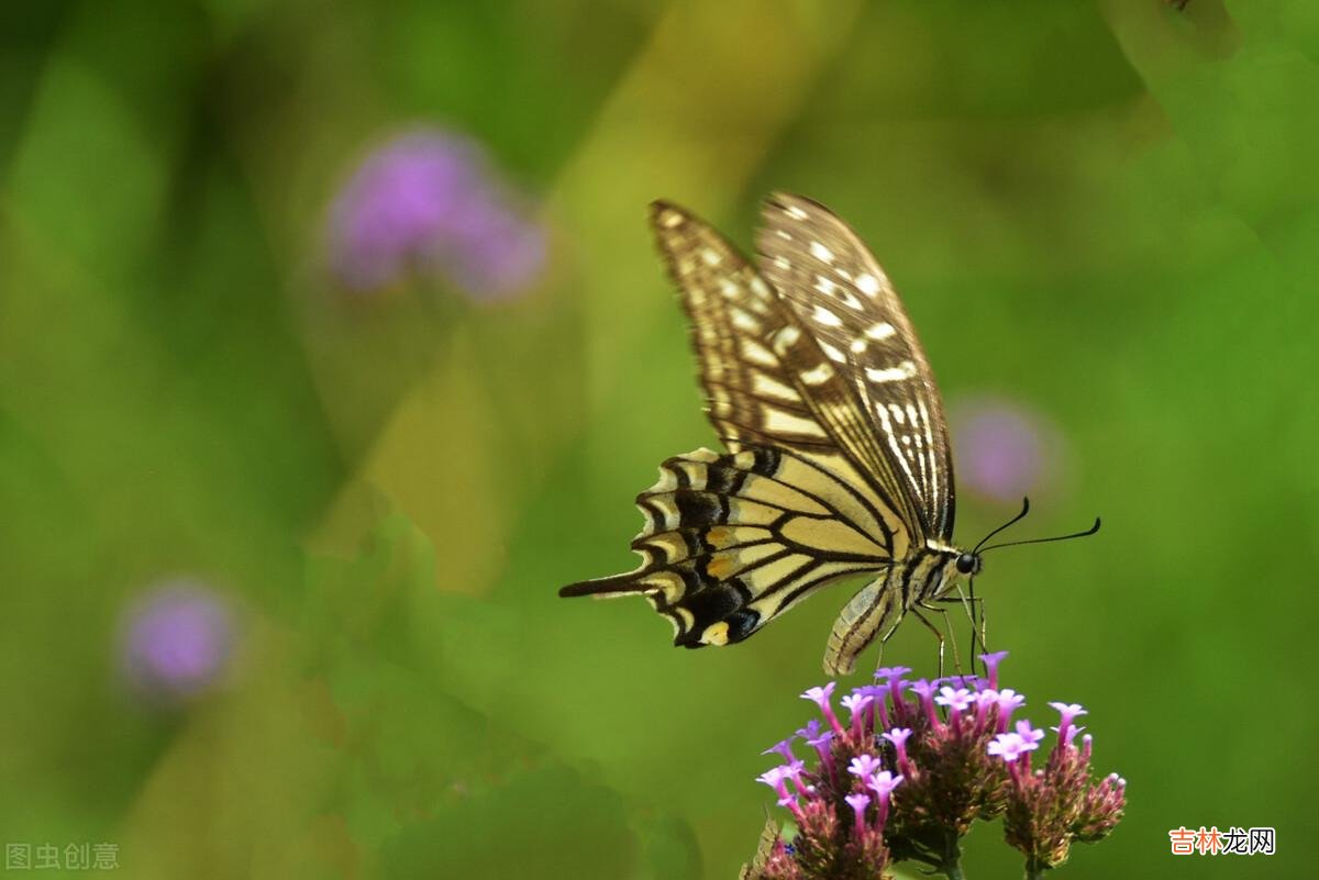 这个世界上 往后余生需要调整心态，活自己才是最重要的