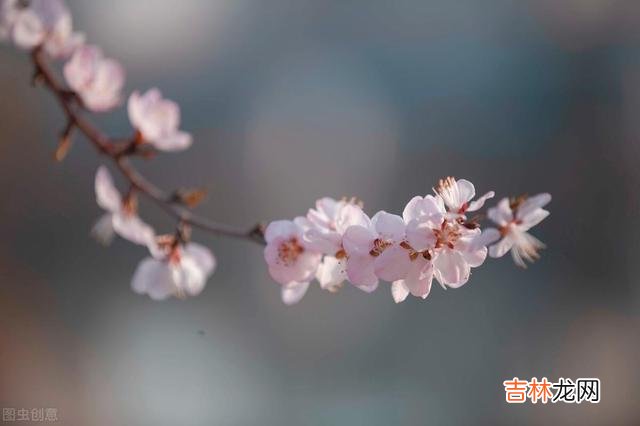 我们这代独生子女的父母 一场疾病后，被女儿接回家居住一个月，感慨养老还是要靠自己