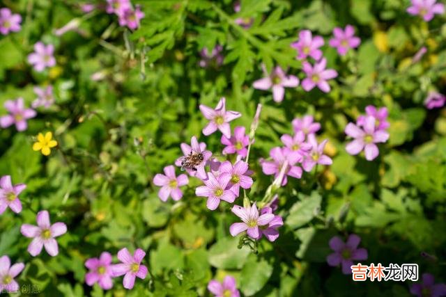 俗话说：“年轻时苦 人生在世，生活有两个层次，一个是物质满足，一个是精神满足