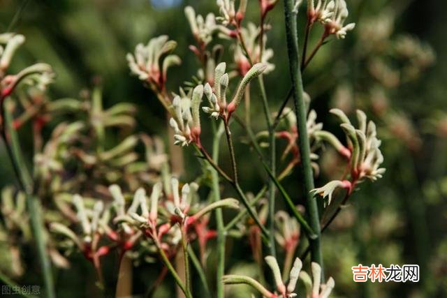 杨绛说:活得通透的人 退休后与老伴携手畅游山水,对健康舍得花钱,享受愉悦晚年