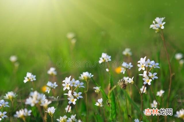 杨绛说：活得通透的人 退休后与老伴携手畅游山水，对健康舍得花钱，享受愉悦晚年