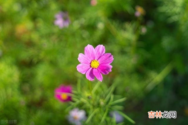 杨绛说:活得通透的人 退休后与老伴携手畅游山水,对健康舍得花钱,享受愉悦晚年