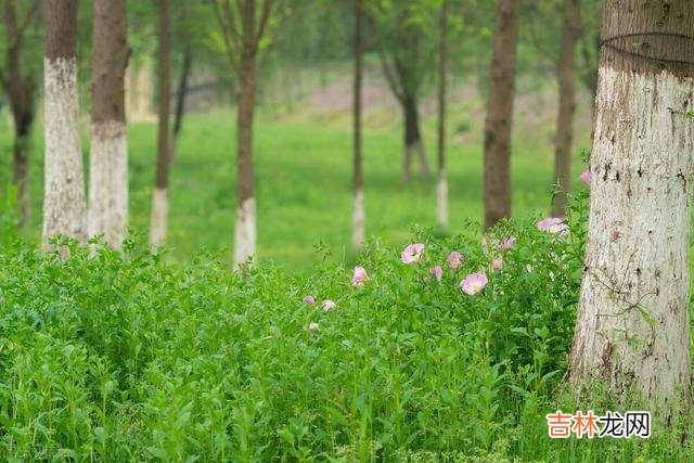 杨绛说:活得通透的人 退休后与老伴携手畅游山水,对健康舍得花钱,享受愉悦晚年
