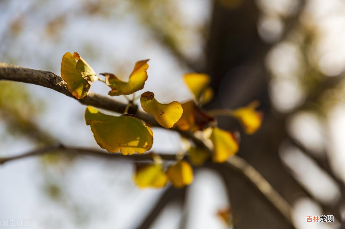 人到晚年才发现 学会“抠门”晚年才能舒心有底气