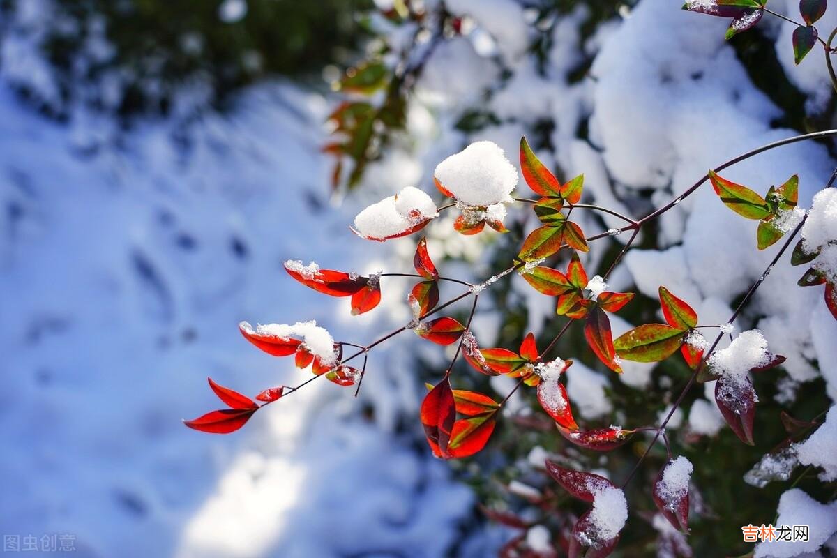 人到晚年才发现 学会“抠门”晚年才能舒心有底气