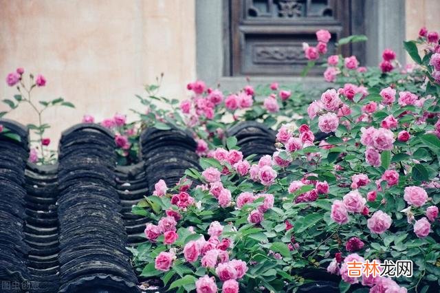 毕淑敏曾说过这么一句话：“历经磨难而终不改善良本性的女人 婚姻里，男人说能够主动上交工资的都是好男人