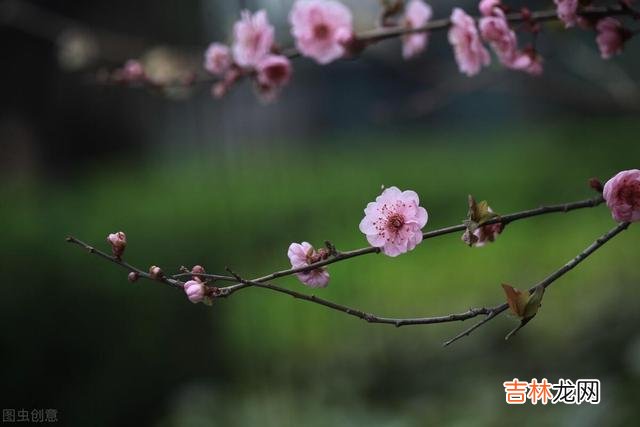 离开老房子大半年的时间 退休后，最珍贵的财富就是健康的身体