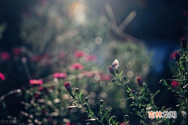 离开老房子大半年的时间 退休后，最珍贵的财富就是健康的身体