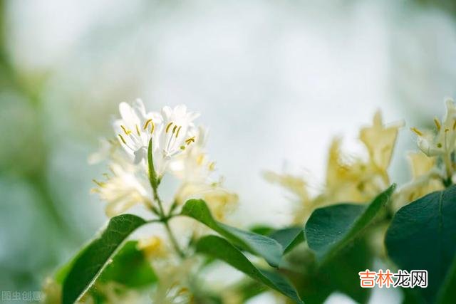 离开老房子大半年的时间 退休后，最珍贵的财富就是健康的身体