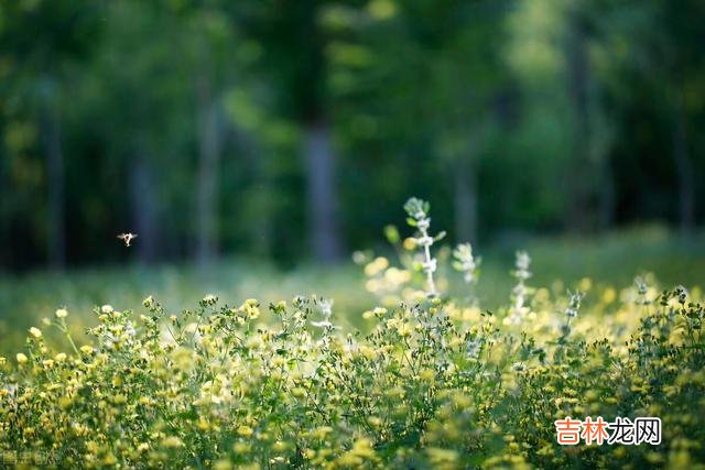 离开老房子大半年的时间 退休后，最珍贵的财富就是健康的身体