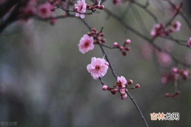 离开老房子大半年的时间 退休后，最珍贵的财富就是健康的身体
