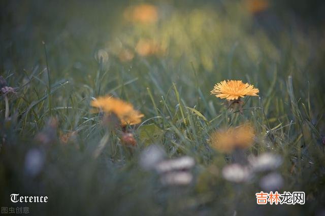 离开老房子大半年的时间 退休后，最珍贵的财富就是健康的身体