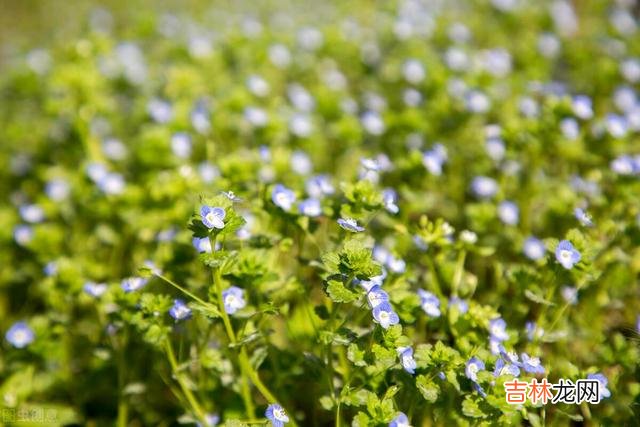 人生起落似新茶 退休后，你会发现，所谓的人脉不过是相互利益往来