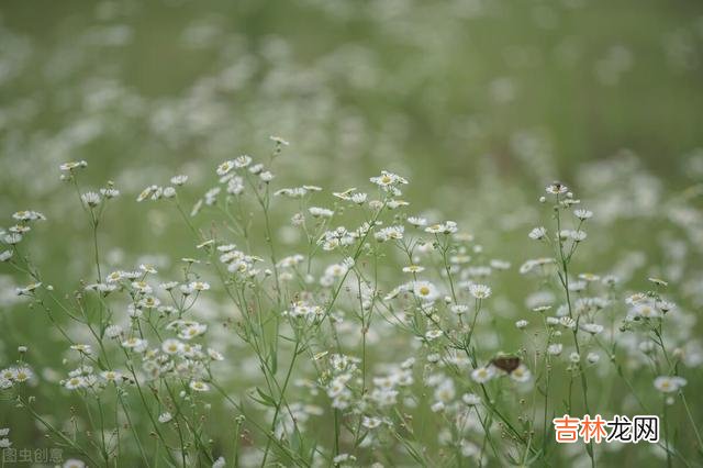 人生起落似新茶 退休后，你会发现，所谓的人脉不过是相互利益往来