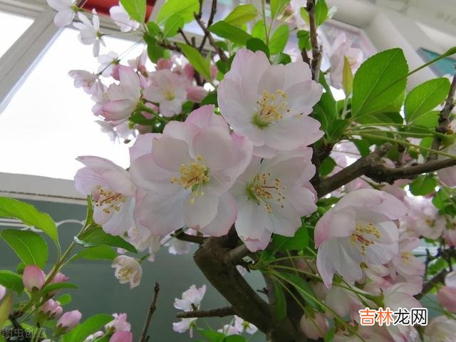 幸福的家庭都是相似的 前夫假装“净身出户”，其实在大城市里早就跟别的女人在一起了