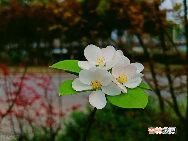 幸福的家庭都是相似的 前夫假装“净身出户”，其实在大城市里早就跟别的女人在一起了