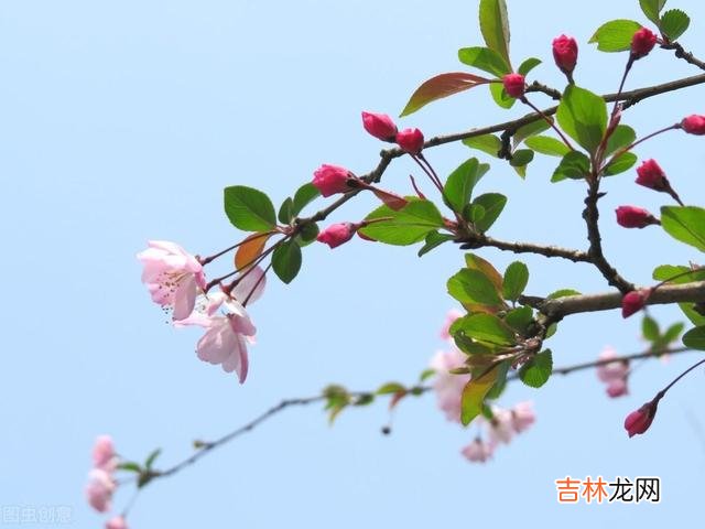 幸福的家庭都是相似的 前夫假装“净身出户”，其实在大城市里早就跟别的女人在一起了