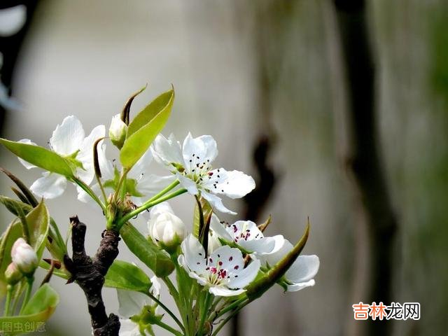 幸福的家庭都是相似的 前夫假装“净身出户”，其实在大城市里早就跟别的女人在一起了