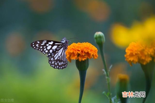 女人会为别人的故事感动到想要离婚去救赎别人的吗？答案是有这样的女人。|旅游途中的一个故事，感动的我回家离婚