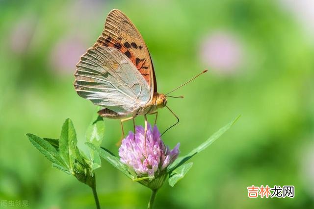 想要亲家之间相处得好,就不要去做以下这三件事