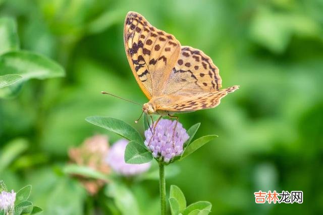 想要亲家之间相处得好,就不要去做以下这三件事