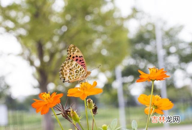 想要亲家之间相处得好,就不要去做以下这三件事